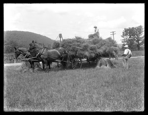 Dva muži nakládající pšeničné snopy na vozík tažený koňmi, pravděpodobně McCready Farm, Crawford County, Pennsylvania, kolem roku 1913 od William Davis Hassler