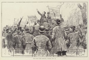 Setkání v Hyde Parku, neděle 20. listopadu od William Douglas Almond