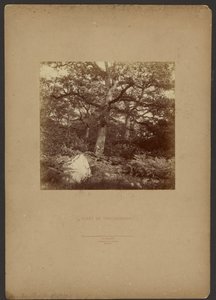 Les Fontainebleau od William Drooke Harrison