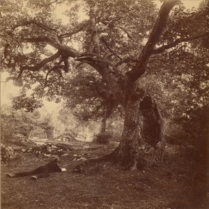 Les Fontainebleau od William Drooke Harrison