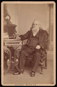 Portrét Sidney Breese 1800-1878, před rokem 1878. od William Emory Bowman