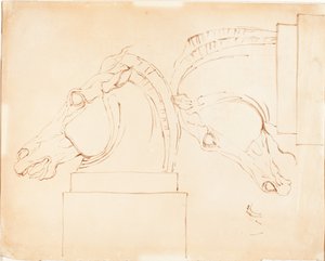 Kůň Selene z Elgin Marbles [recto] od William Etty