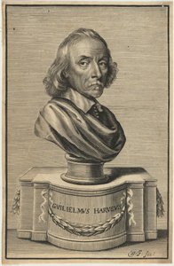  od William Faithorne