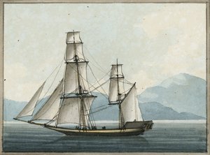Bombay Grab od William Ffarington