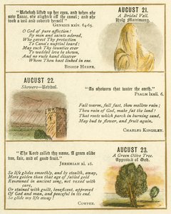 Stránka z knihy The Bible Emblem Anniversary Book (barevná litografie) od William Foster