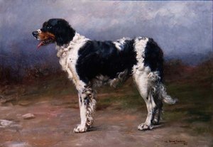 Gundog v krajině