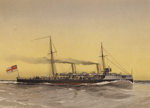 HMS Speedwell, torpédový dělový člun
