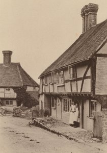 V Byworthu, poblíž Petworthu, Sussex (čb fotografie)
