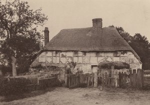 Poblíž Fittleworthu, Západní Sussex (čb fotografie) od William Galsworthy Davie