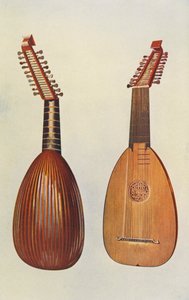 Hudební nástroje: Loutna (barevná litografie)