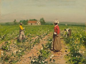 Sběr bavlny, c. 1890. od William Gilbert Gaul