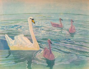 Labuť a labutě, 1911, 1928