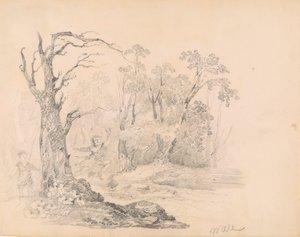 Scéna od Scotta od William Guy Wall