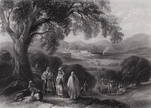 Vale of Nazareth (rytina) od William H. Bartlett