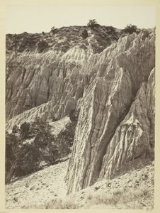Rain Sculpture, Salt Creek Cañon, Utah