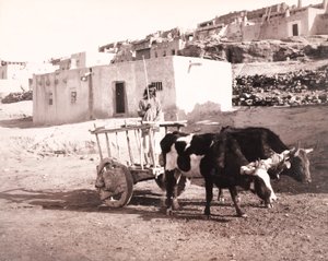Stará Carreta, Laguna, Nové Mexiko