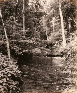 Jezero Owasco, Cascade Glen, pro společnost Lehigh Valley Railroad od William H. Rau
