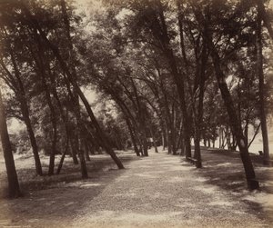 Piknikové hřiště od William H. Rau
