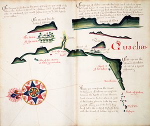 Guacho od William Hack