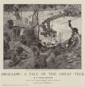 Vlaštovka, Příběh velkého putování od William Hatherell