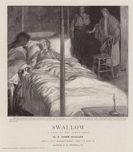 Vlaštovka, Příběh velkého putování od William Hatherell
