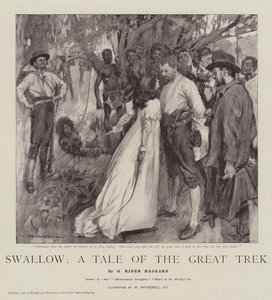 Vlaštovka, Příběh velkého putování od William Hatherell