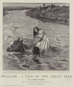 Vlaštovka, příběh o velkém putování od William Hatherell