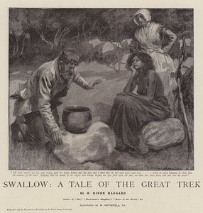 Vlaštovka, Příběh velkého putování od William Hatherell
