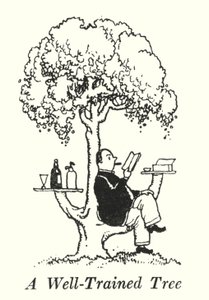 Dobře vycvičený strom (litho) od William Heath Robinson