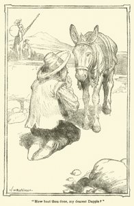 Ilustrace pro Dona Quijota (litho) od William Heath Robinson