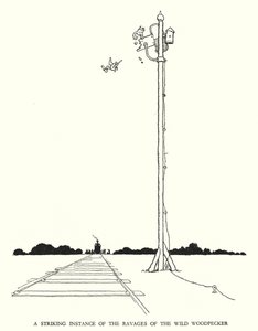 Ilustrace pro Railway Ribaldry od W Heatha Robinsona (litho) od William Heath Robinson