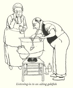Poslech nemocné zlaté rybky (litho) od William Heath Robinson