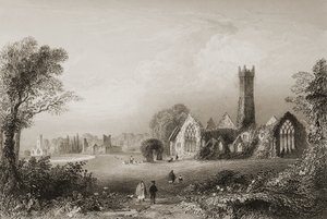 Augustiniánské opatství v Adare, hrabství Limerick, Irsko, z knihy "Scenery and Antiquities of Ireland" od George Virtue, 60. léta 19. století od William Henry Bartlett