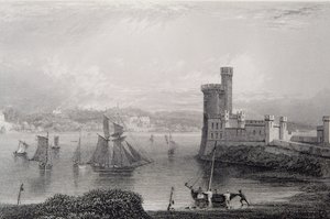 Black Rock Castle, poblíž Corku, Irsko, 30. léta 19. století od William Henry Bartlett