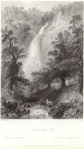 Powerscourt Fall na řece Dargle od William Henry Bartlett