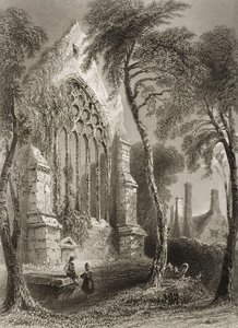 Youghal Abbey, County Cork, Irsko, z „Scenery and Antiquities of Ireland“ od George Virtue, 1860 od William Henry Bartlett