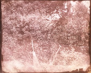 Koště a rýč, 1842 od William Henry Fox Talbot