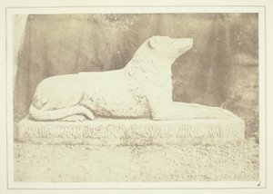 Podobizna oblíbeného psa sira W. Scotta Maida u dveří do haly v Abbotsfordu od William Henry Fox Talbot
