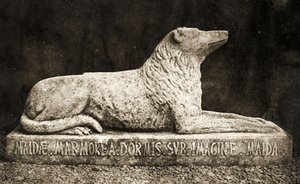 Socha Maidy, údajně oblíbený pes Sira Waltera Scotta. (sépiová fotka) od William Henry Fox Talbot