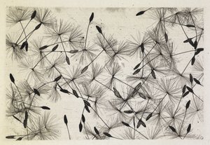 Talbot foto 24 1730 od William Henry Fox Talbot