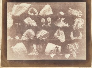 Okno mlynáře od William Henry Fox Talbot