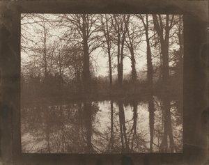 Stromy a odrazy od William Henry Fox Talbot