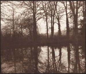 Zimní stromy odrážející se v rybníku od William Henry Fox Talbot