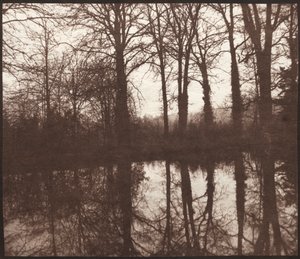 Zimní stromy odrážející se v rybníku, 1841-42. od William Henry Fox Talbot