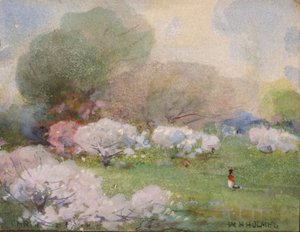 Cherry Blossoms, n.d. od William Henry Holmes