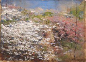 Pole květů, 1927. od William Henry Holmes