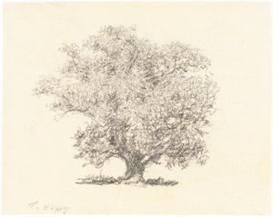 Strom v plném listí od William Henry Hunt