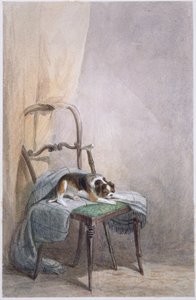Studie psa na židli (akvarel na papíře) od William Henry Hunt