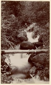 od William Henry Jackson