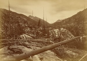  od William Henry Jackson